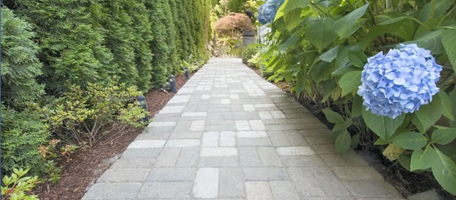 Brick Paver Walkways Installation